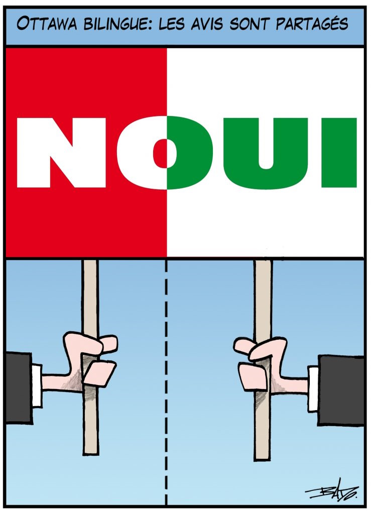 alt= 